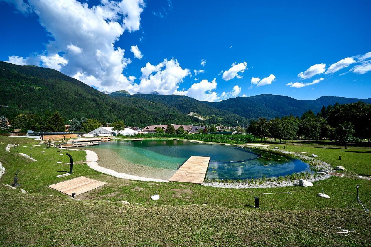 Chalet Mountain Plaza - Apt Greenvalley Pinzolo Kültér fotó